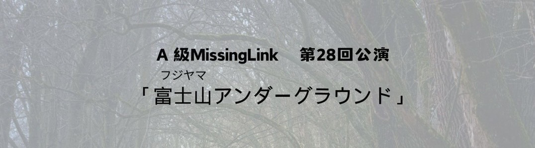 A級MissingLink